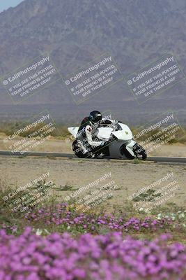 media/Feb-04-2023-SoCal Trackdays (Sat) [[8a776bf2c3]]/Turn 15 Inside Blooming (1050am)/